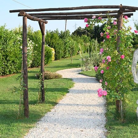 I Delfini - Natural B&B Cesenatico Exteriér fotografie